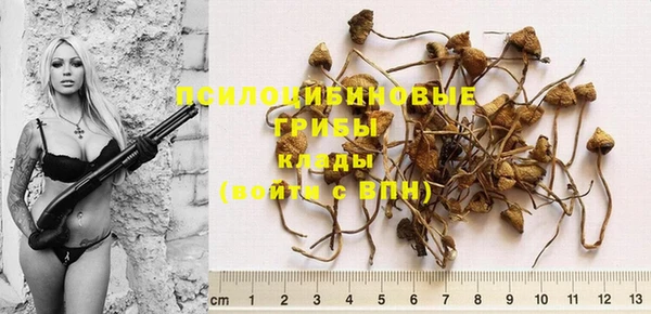 винт Заволжье