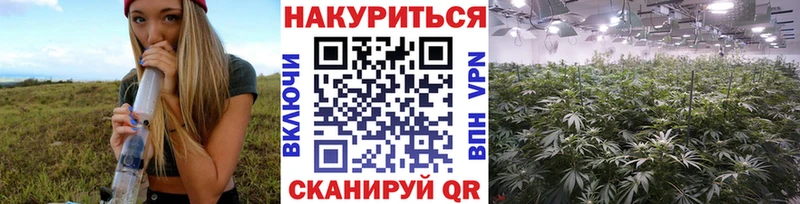 shop как зайти  закладка  Майкоп  Каннабис THC 21%  kraken ССЫЛКА 